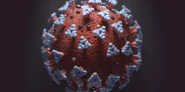 koronavirus