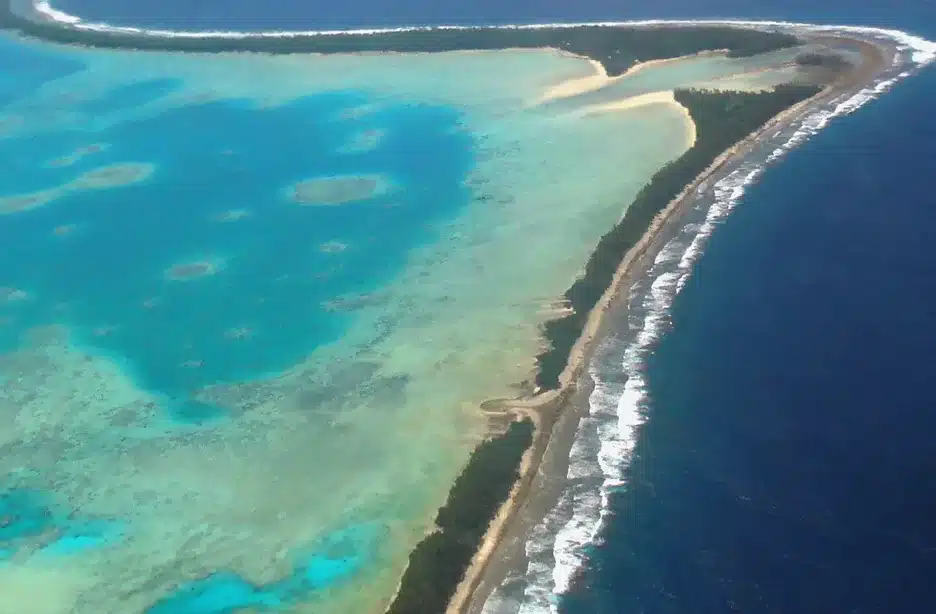 Tongan hauta