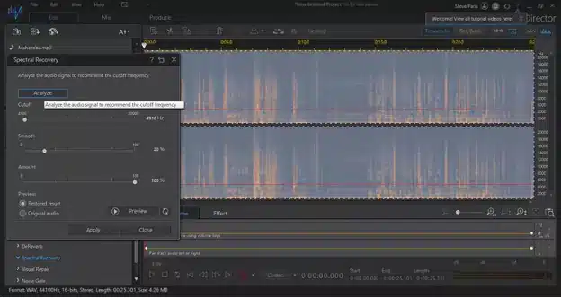 AudioDirector