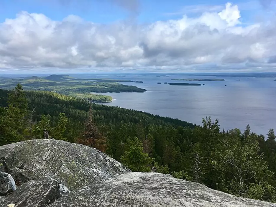 Koli