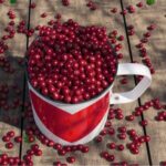 Maailman paras puolukkahillo