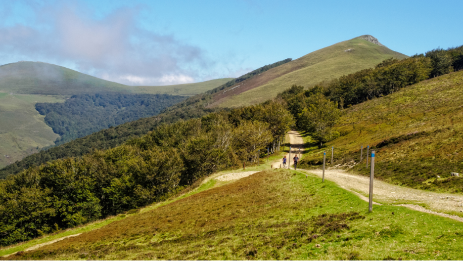 O Cebreiro – Sarria – Santiago