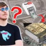 mrbeast net worth