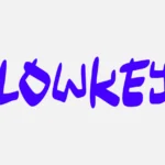 Mitä lowkey tarkoittaa?